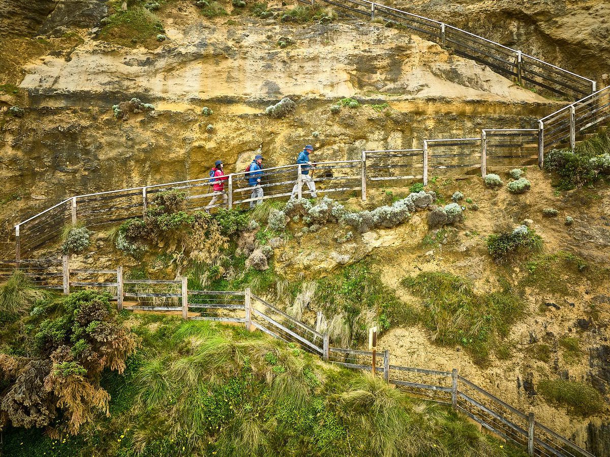 GreatOceanWalk's tweet photo. If you get as far as Gibson Steps you have nearly finished your amazing Great Ocean Walk! But remember, you don’t have to walk the full 104km.
You can customise your walk so that you may hike as little or as far as you like, there's a perfect hike to suit everyone #greatoceanwalk https://t.co/2SmoxXUS8z