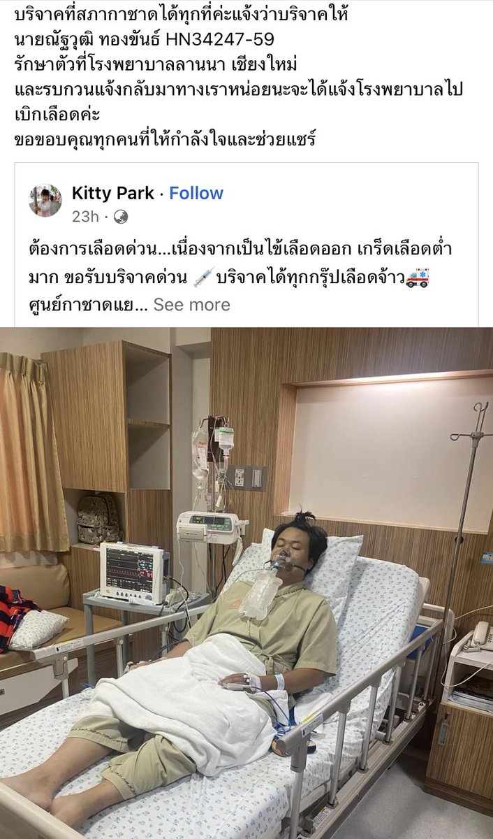 Aommikoㅡ ปังอ้วม‧₊˚ ⊹ 🐈🌷 tweet media