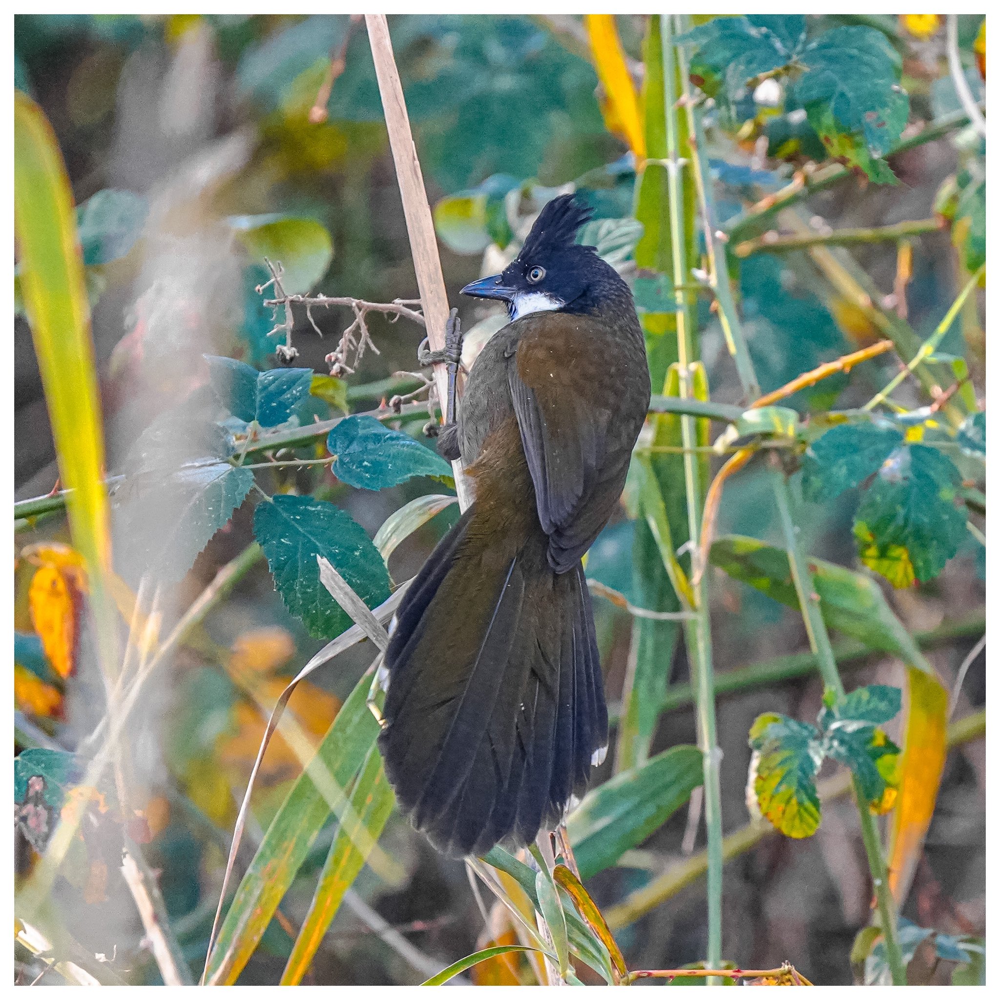 Geraldine Hickey on Twitter "You can decide what’s more exciting, me