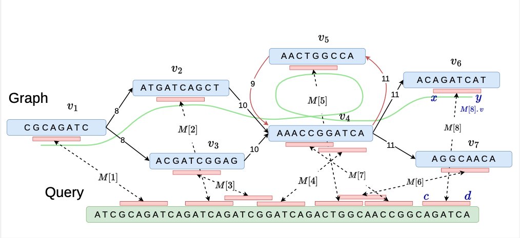 In a new paper with Jyotshna Rajput and @GhanshyamChand5, we developed new algorithms for co-linear chaining on cyclic pangenome graphs. To appear in WABI biorxiv.org/content/10.110… github.com/at-cg/PanAlign…