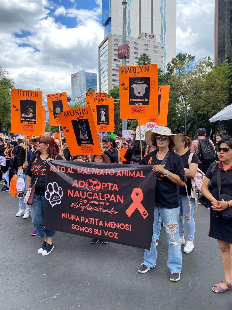 Por ellos (@bebebin) on Twitter photo 