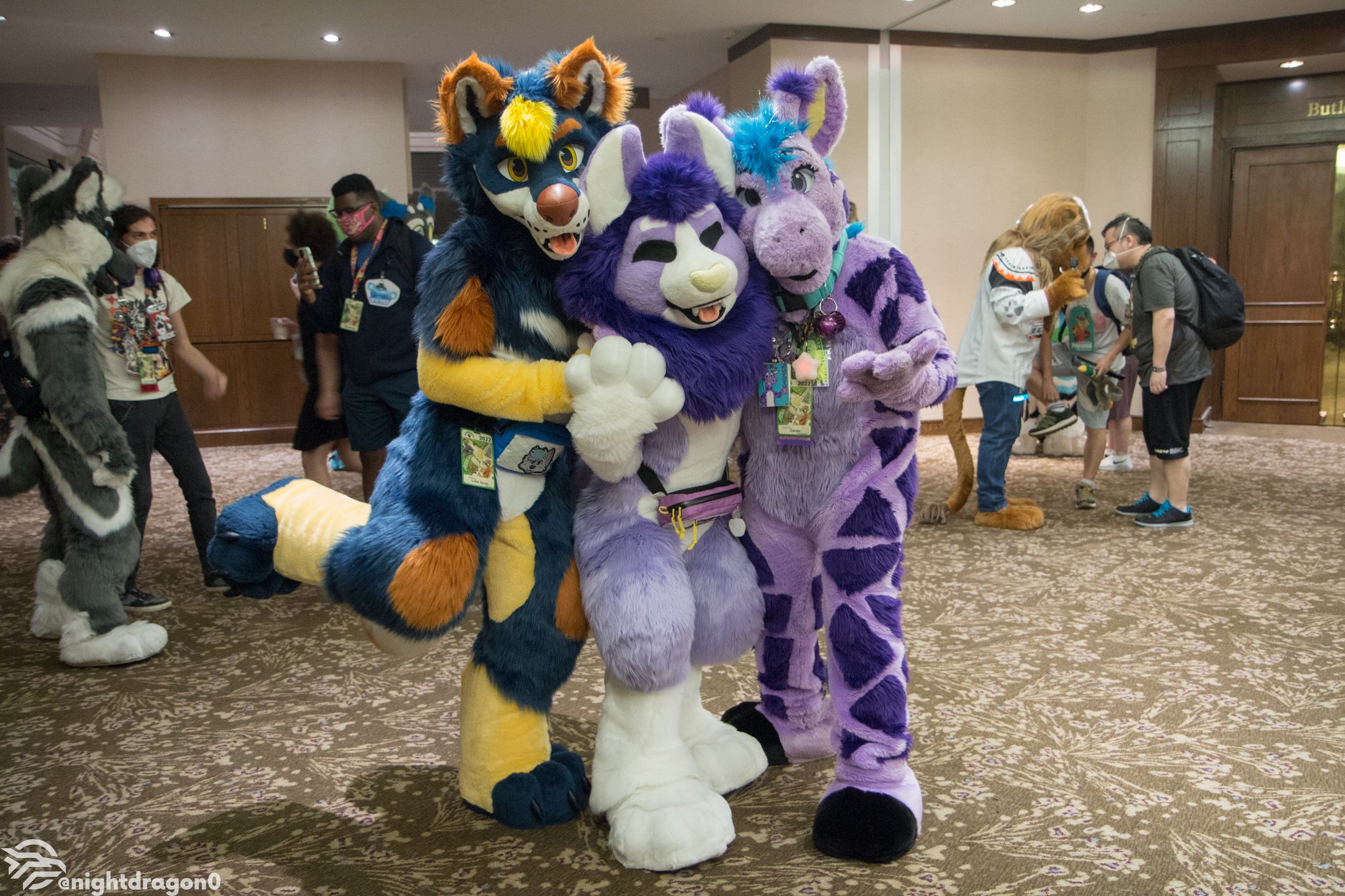 Anthrocon, Inc. on Twitter: "After the Closing Ceremonies, the
