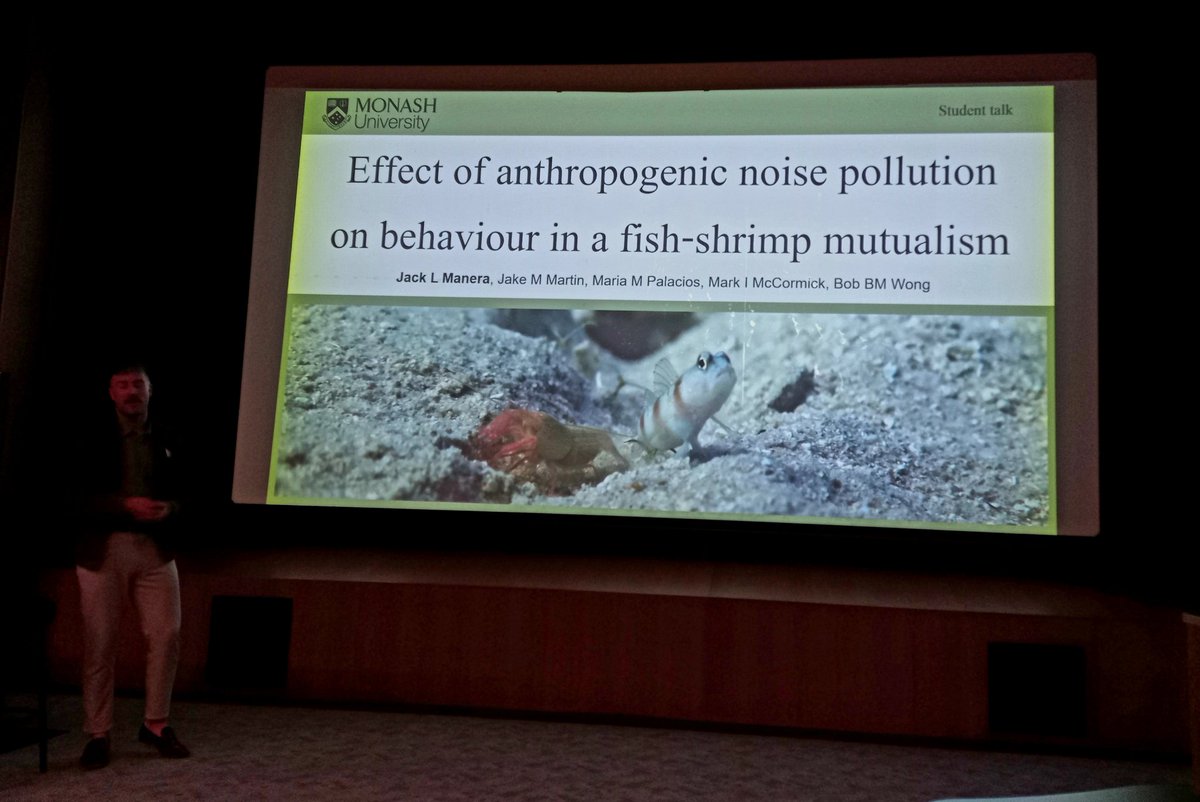 Animal Behaviour - Australasia (@animbehav) on Twitter photo Now on <a href="/jackmanera/">jack manera</a> on the effect of anthropogenic #noisepollution on behavior in a fish-shrimp #mutualism #ASSAB2023
⛵🚢🚤
🔊
🐟🦐 Now on <a href="/jackmanera/">jack manera</a> on the effect of anthropogenic #noisepollution on behavior in a fish-shrimp #mutualism #ASSAB2023
⛵🚢🚤
🔊
🐟🦐