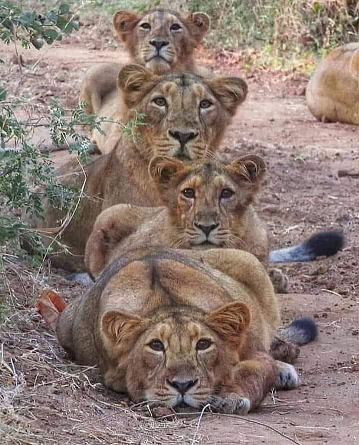 Bonita familia.