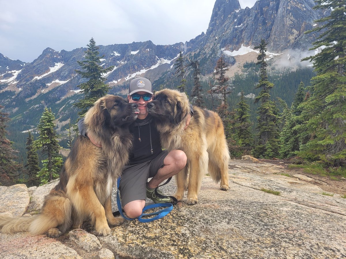 We love our daddy. Happy  Belated fathers day to all the puppydads #dogs #washingtonpass #FathersDay2023