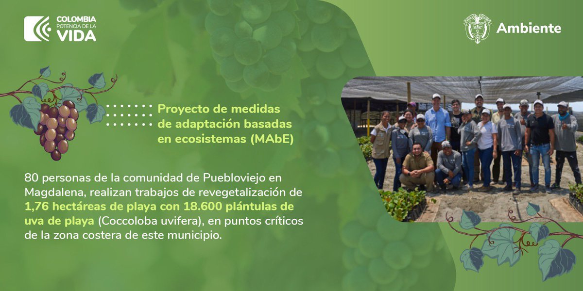 MinAmbienteCo tweet picture