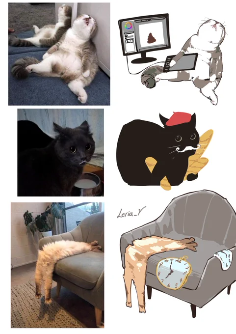 cats 