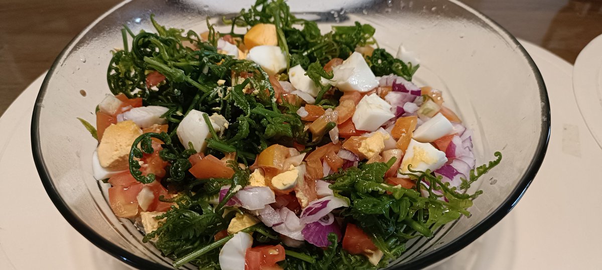 I made a fern salad for my hubby's hearty lunch. ❤️

No to bad cholesterol.😄