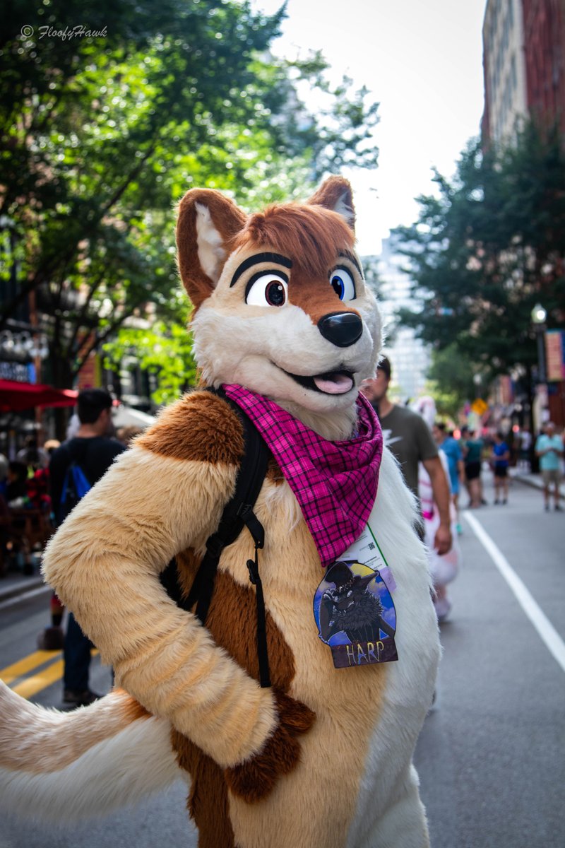 anthrocon's tweet photo. Are you ready for the FURRY CITY to come to life? 🐶🏙️😺 #Anthrocon

Our Block Party, happening along Penn Avenue from 10th to 9th Street, will be starting after the parade from 3pm to 10pm! Plan accordingly for the weather and remember to take breaks when needed!

📸 @FloofyHawk https://t.co/1EvlhPN6Tf