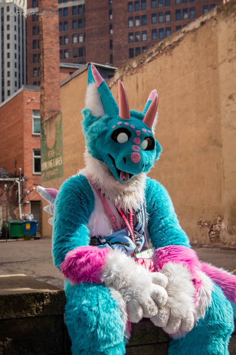 Are you ready for the FURRY CITY to come to life? 🐶🏙️😺 #Anthrocon

Our Block Party, happening along Penn Avenue from 10th to 9th Street, will be starting after the parade from 3pm to 10pm! Plan accordingly for the weather and remember to take breaks when needed!

📸 <a href="/FloofyHawk/">HawkPool</a>