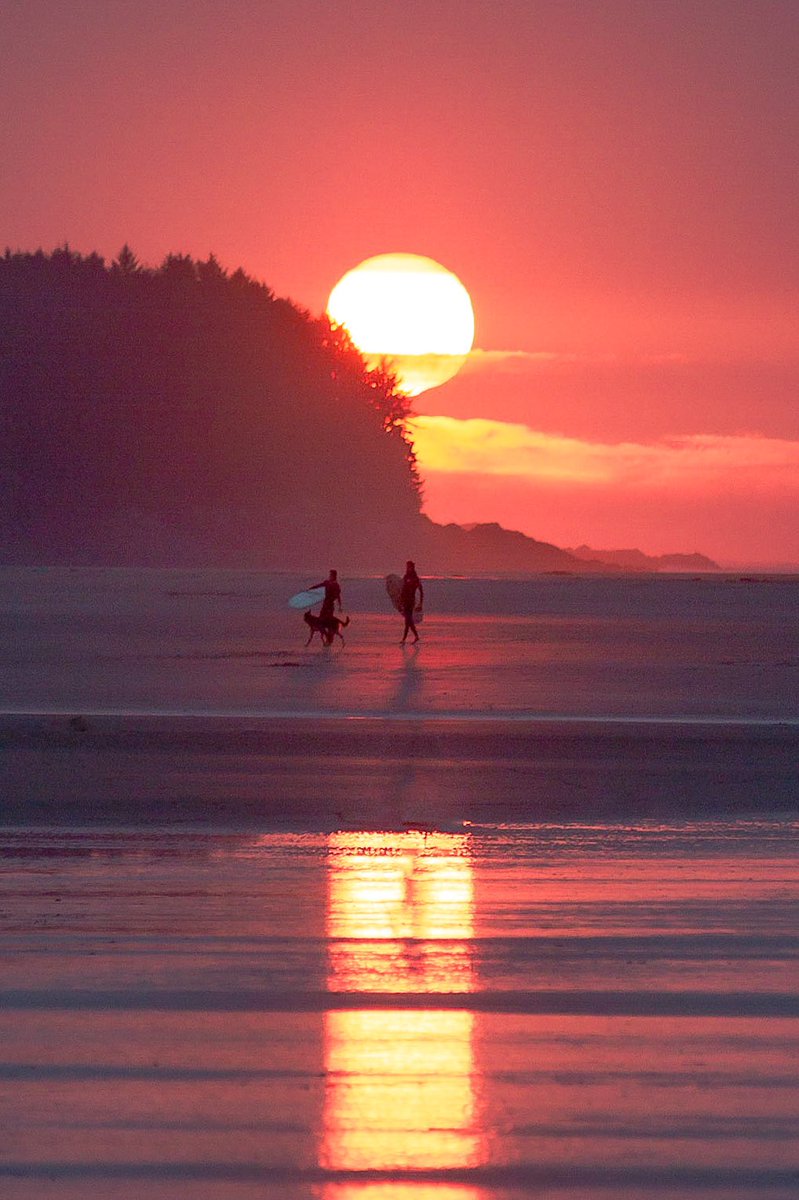 John Meisner tweet media