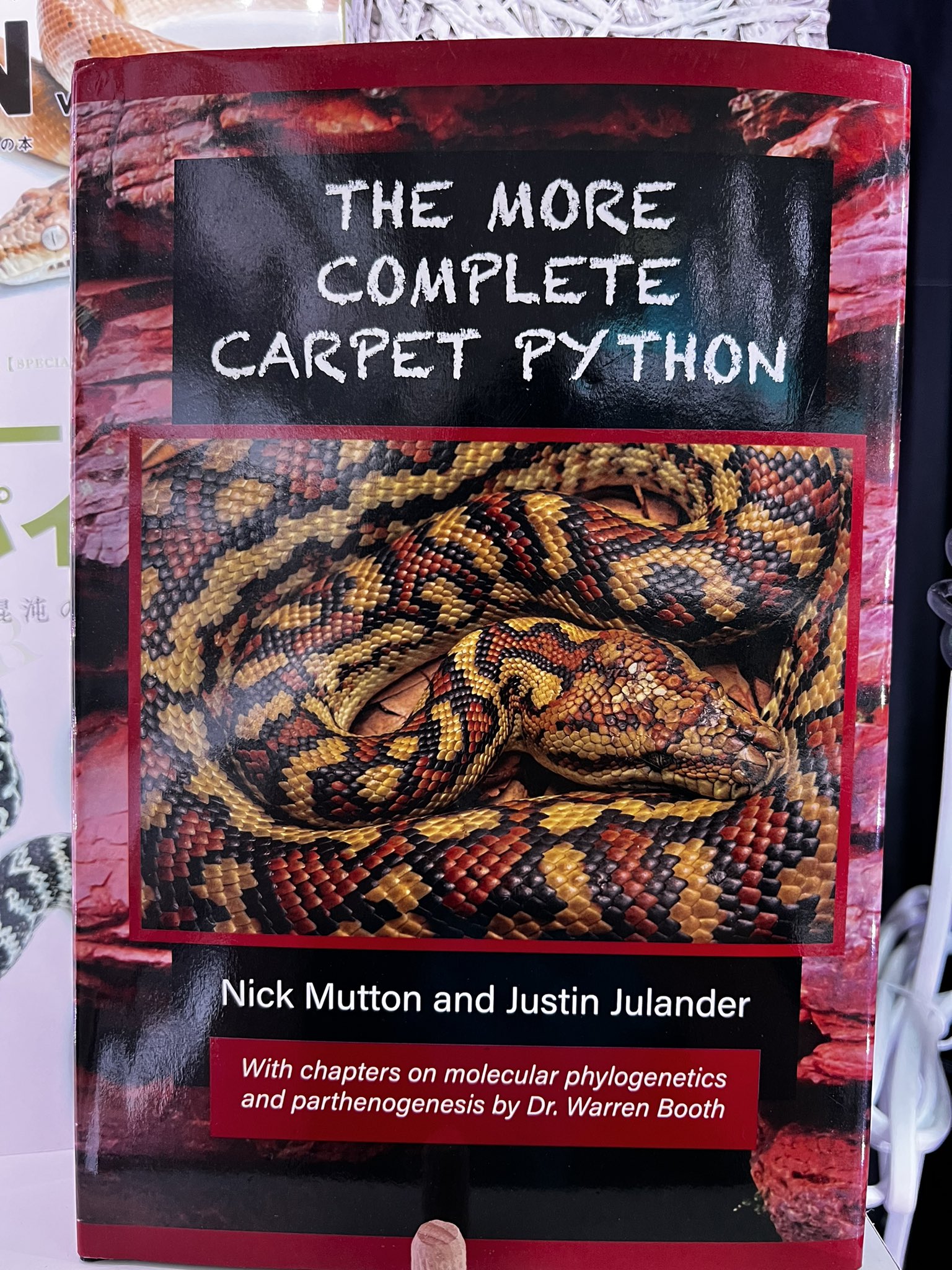 THE MORE COMPLETE CARPET PYTHON（The More Complete Carpet