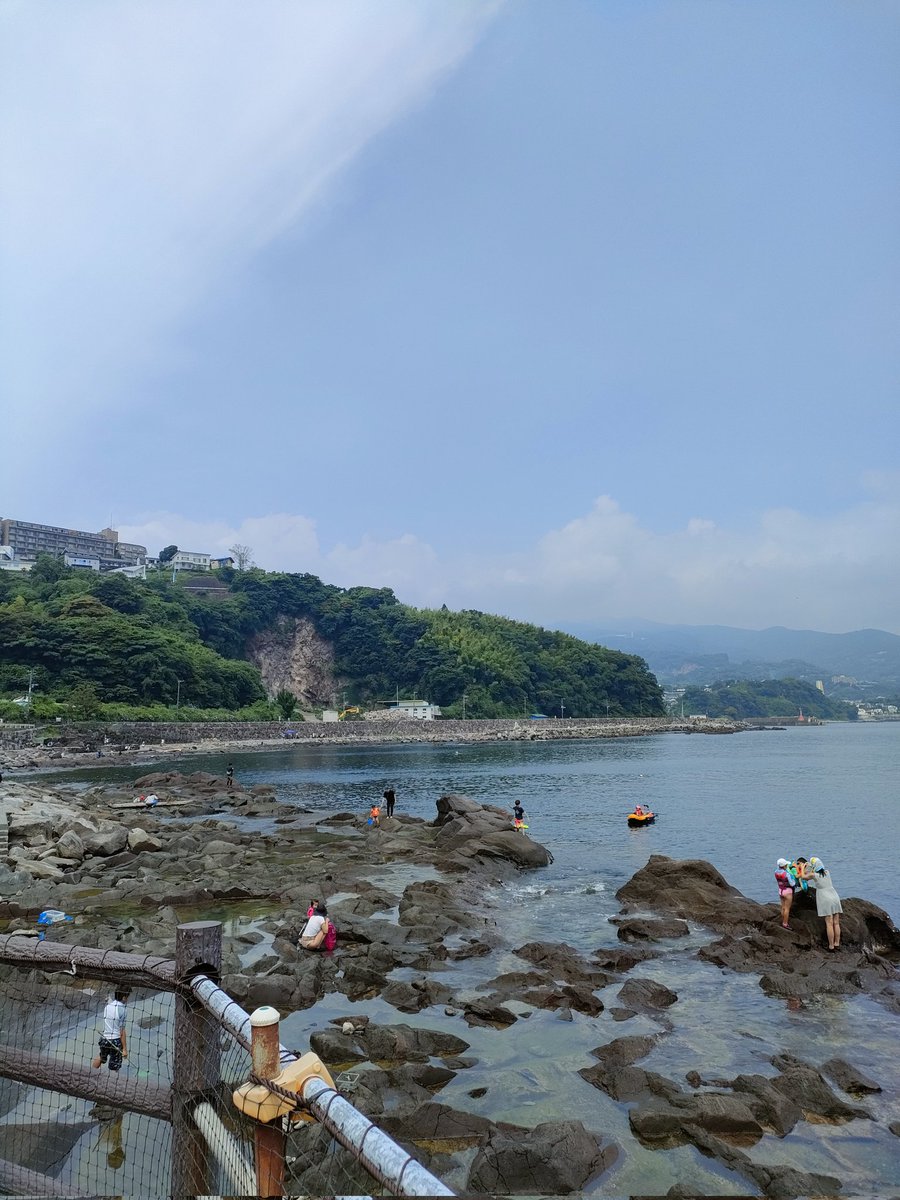fishing0302's tweet photo. 6/25　日　神奈川　琴ヶ浜
10時到着でも駐車場の空きは余裕あり！
岩場の海藻でつるつる滑りながらなんとか海中へ
少し深いところは濁りであまり見えず…でも足のつくところから既に魚がいっぱいで大満足！ https://t.co/51MLK1uLyR