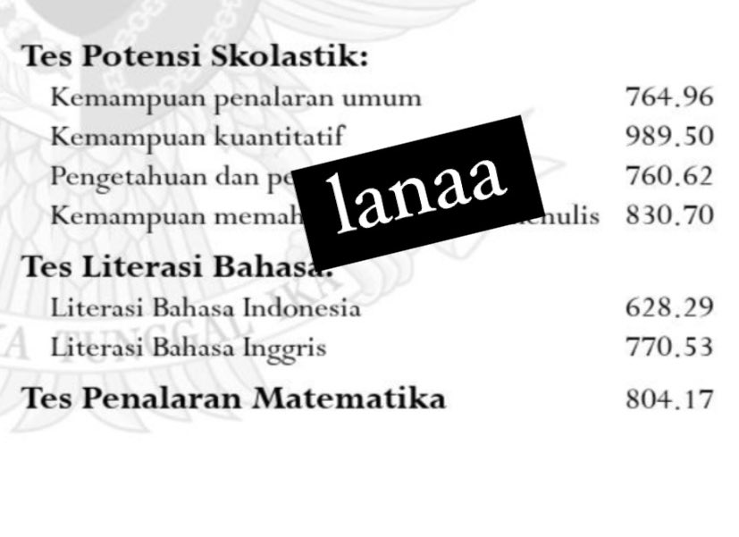 lana tweet media