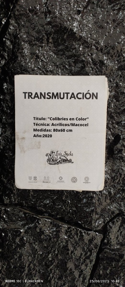 StReeTaRTCDMX's tweet photo. Exposición "Transmutación" Casa de Cultura Luis Spota.
19°16'30.1" -99°8'4.0" https://t.co/BgvFpTVy9H
