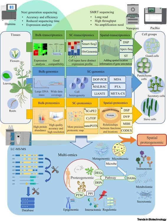 New first-author review publication in TRENDS IN BIOTECHNOLOGY...
'Proteogenomics-based functional genome research: approaches, applications, and perspectives in plants'