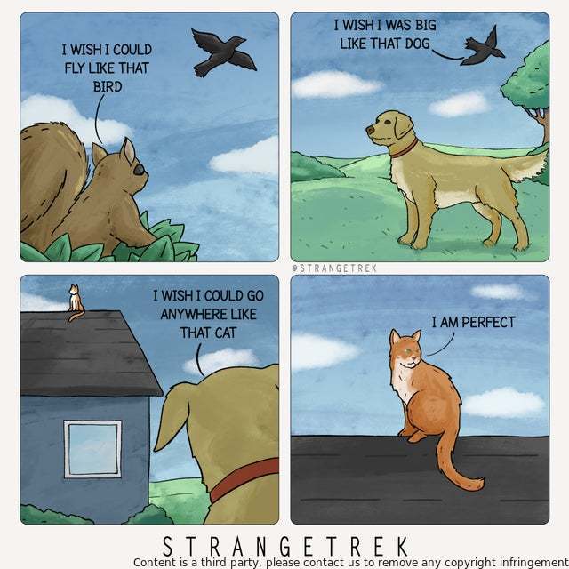 I wish for a lot of things, but nothing more than the ability to be happy. I wish for happiness in my life, in the lives of those around me, and even in the world as a whole.