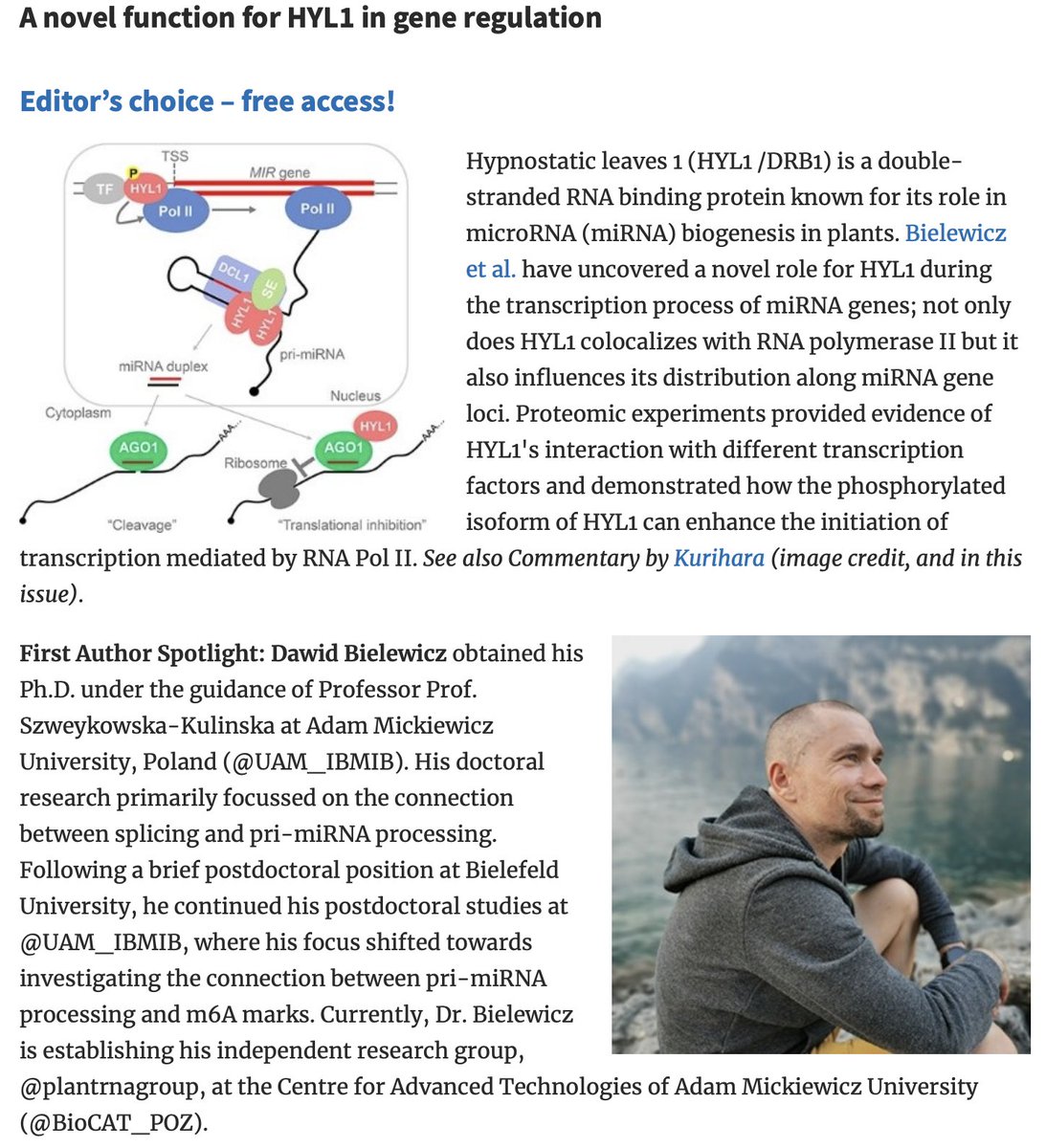 Plant Cell Physiology (@pcp_eic) on Twitter photo 📗Research Highlight Featuring First Author (June Issue)
A novel function for HYL1 in gene regulation
academic.oup.com/pcp/pages/rese…
Dawid Bielewicz💐
<a href="/plantrnagroup/">plantRNAgroup(at)AMU</a>, @BioCAT_POZ, @UAM_IBMIB
doi.org/10.1093/pcp/pc… 📗Research Highlight Featuring First Author (June Issue)
A novel function for HYL1 in gene regulation
academic.oup.com/pcp/pages/rese…
Dawid Bielewicz💐
<a href="/plantrnagroup/">plantRNAgroup(at)AMU</a>, @BioCAT_POZ, @UAM_IBMIB
doi.org/10.1093/pcp/pc…