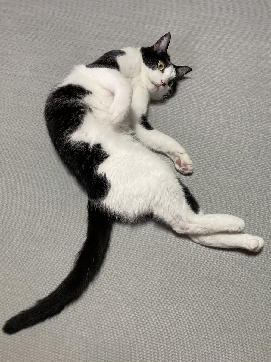 ree (@ree_ree12go) / Posts / X