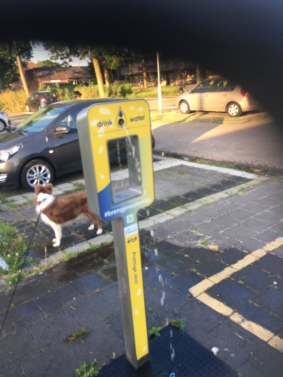 edwindupon's tweet image. Melding Station koog Bloemwijk #pwn loopt veel water weg dus zonde.