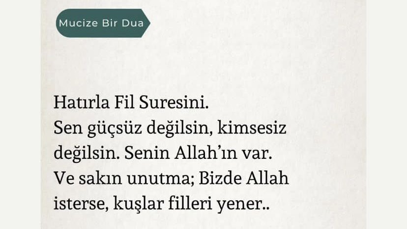 SARA GÖK (@sara_gok) on Twitter photo 