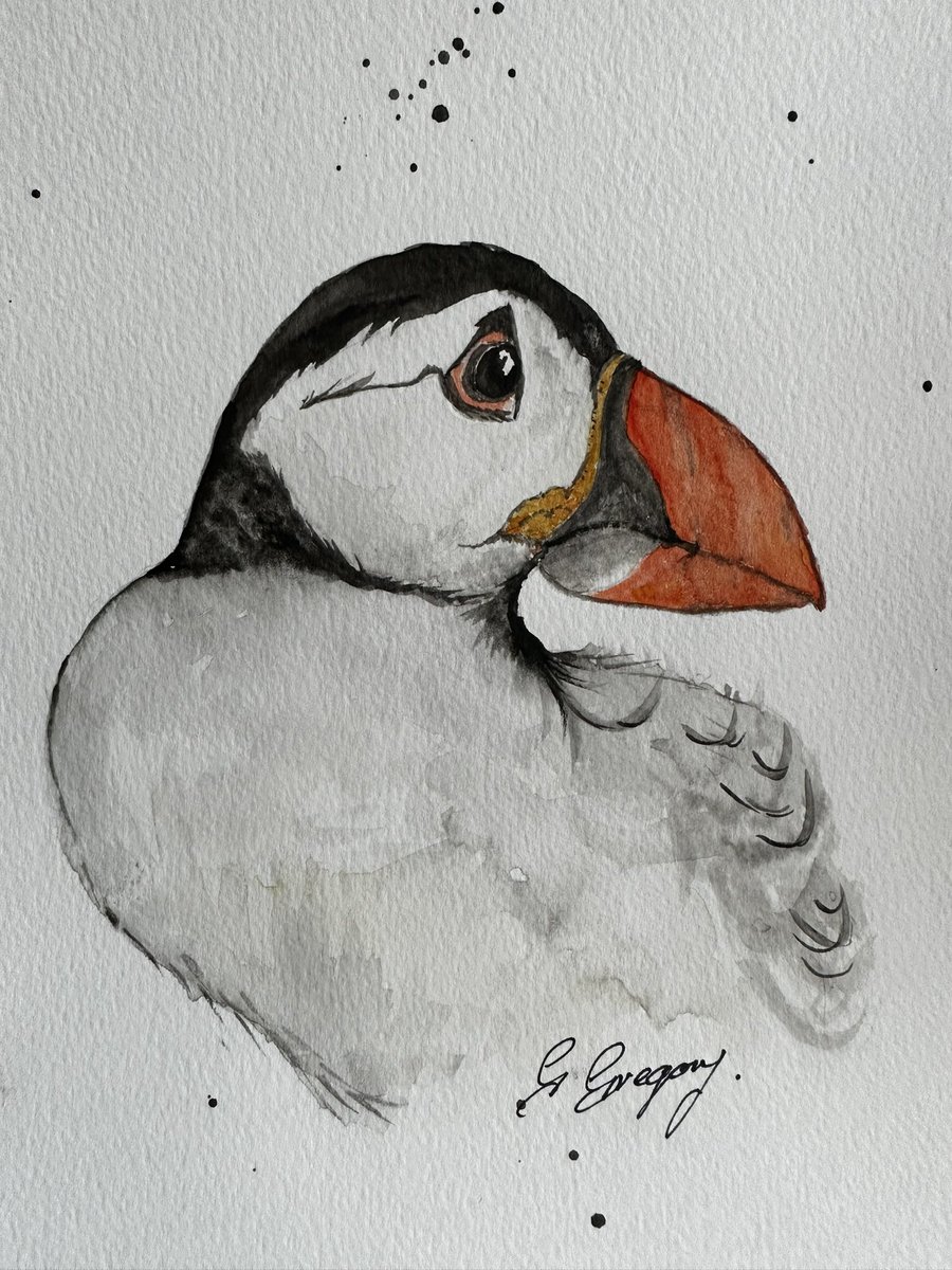 The watercolours are back 😊
Just one of my paintings from over the weekend 
#puffin #dementiacraftivist