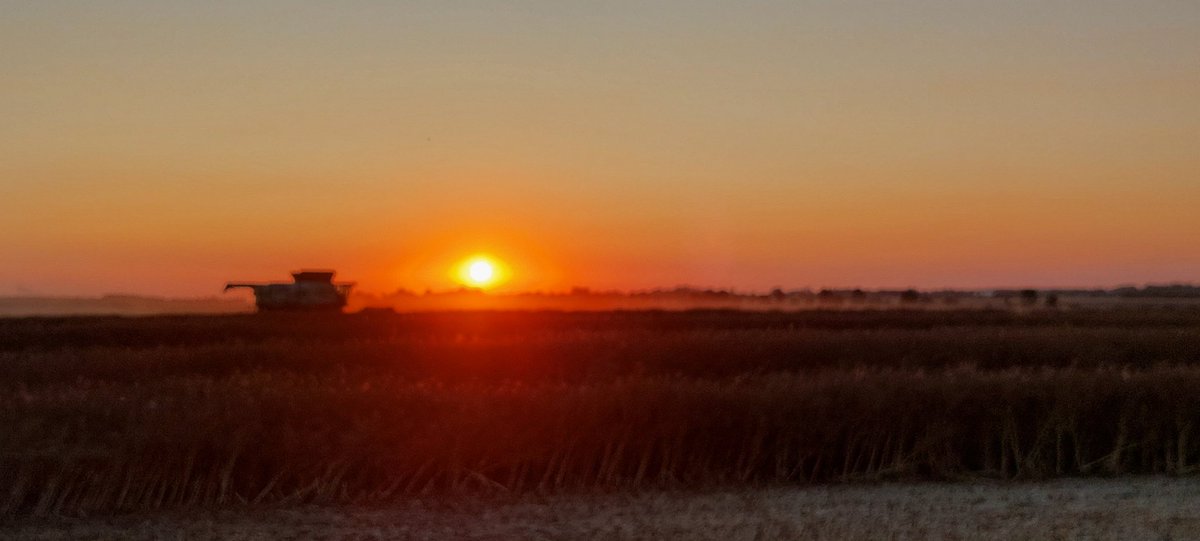 FrancoisArnoux's tweet image. Magnifique coucher de soleil en pleine #Moisson2023 @Agridemain #FrAgTw @GeWoessner @emma_ducros @pascalperri @MacLesggy @intercereales @AGPB_Cerealiers @FopProducteurs @TF1 @BFMTV @MFesneau @virginie_garin @CNEWS @Francetele @OuestFrance