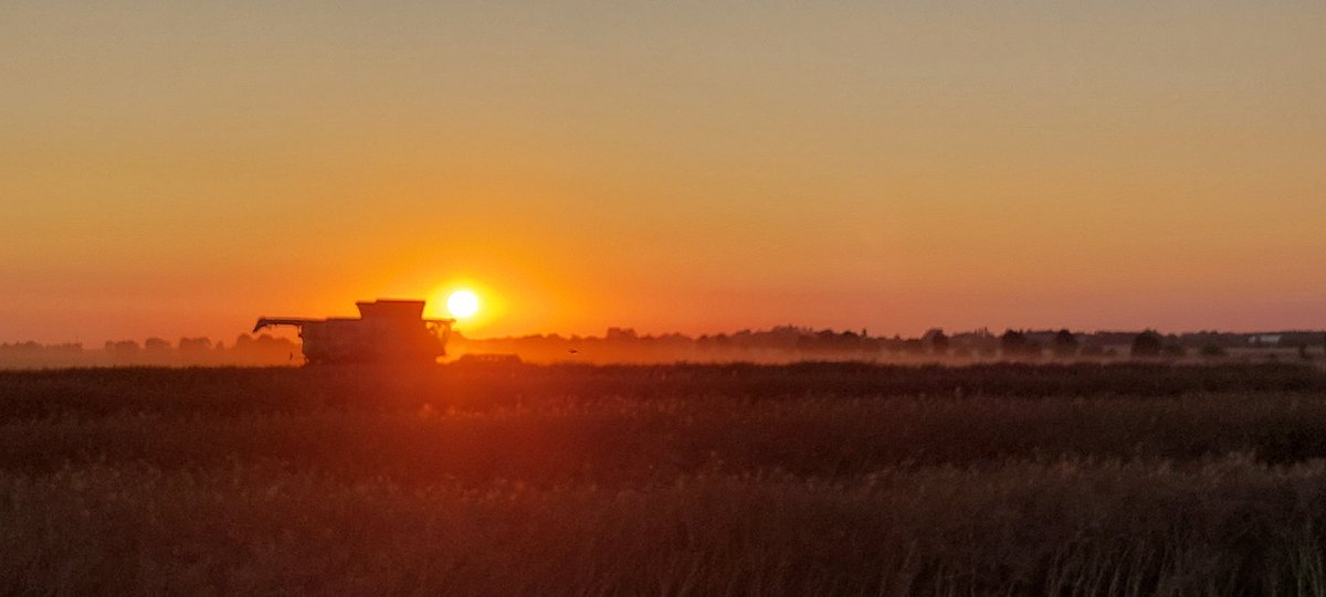 FrancoisArnoux's tweet image. Magnifique coucher de soleil en pleine #Moisson2023 @Agridemain #FrAgTw @GeWoessner @emma_ducros @pascalperri @MacLesggy @intercereales @AGPB_Cerealiers @FopProducteurs @TF1 @BFMTV @MFesneau @virginie_garin @CNEWS @Francetele @OuestFrance
