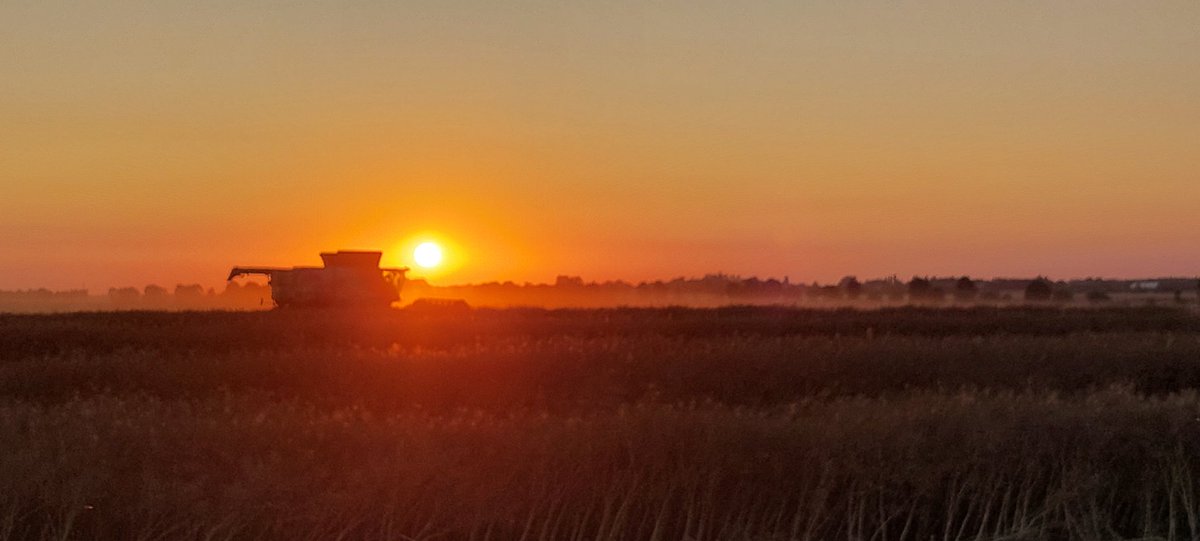 FrancoisArnoux's tweet image. Magnifique coucher de soleil en pleine #Moisson2023 @Agridemain #FrAgTw @GeWoessner @emma_ducros @pascalperri @MacLesggy @intercereales @AGPB_Cerealiers @FopProducteurs @TF1 @BFMTV @MFesneau @virginie_garin @CNEWS @Francetele @OuestFrance