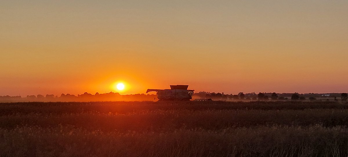 FrancoisArnoux's tweet image. Magnifique coucher de soleil en pleine #Moisson2023 @Agridemain #FrAgTw @GeWoessner @emma_ducros @pascalperri @MacLesggy @intercereales @AGPB_Cerealiers @FopProducteurs @TF1 @BFMTV @MFesneau @virginie_garin @CNEWS @Francetele @OuestFrance
