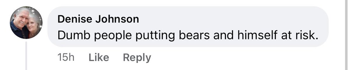 BenjaHate's tweet photo. On a post about a bear at the dump. https://t.co/gAnt5fIlae