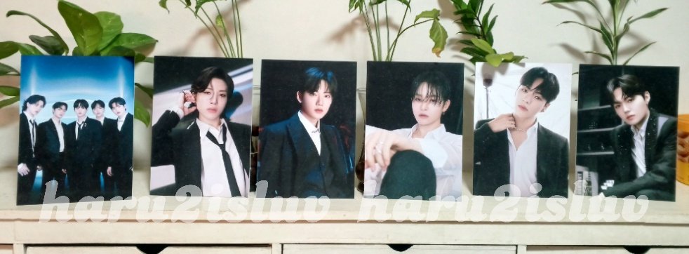 Pre-Order T5 unofficials ❤️ PH ONLY
must be willing to wait

T5 photocard set ₱50/set
Sintraboards ₱110ea

₱10/ PC set and sintra will be donated to T5 emergency funds ❤️

Fill up form to order:
cognitoforms.com/Trinkerrific1/…

DM for other inquiries 🥰