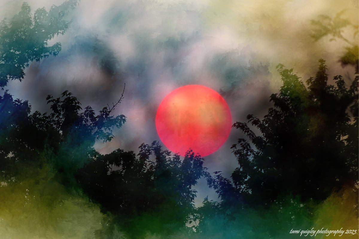 Trailscapes ... Fine Art Photography by Tami Quigley: Sunfire ... trailscapes-tami.blogspot.com/2023/06/sunfir… #SunsetSunday #new #blogpost #surreal #sunset #wildfires #Canadianwildfires #Allentown #AllentownPa @visitPA #LehighValley @LehighValleyPA #June #BuyIntoArt #AYearForArt #art #surrealart