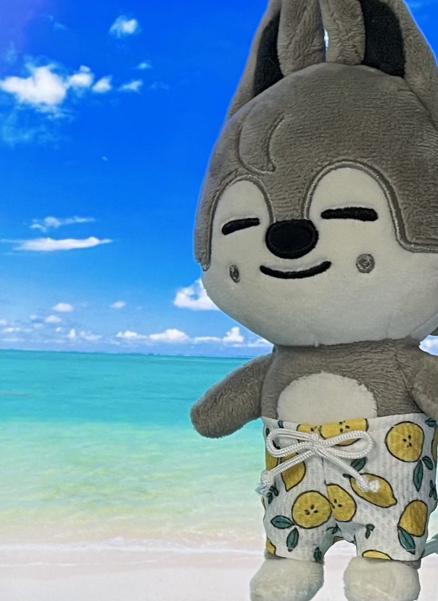 minamina_ji_na's tweet image. 今日は一足先に新作@miihmtt1 をGETしたので撮影してきました♡

夏だーパダだー🌊パンだー🩳

取り急ぎiPadの前で撮影したら、へんな合成みたいになった😂

#ハンドメイド #海パン #ぬいぐるみ用 #ウルフチャン