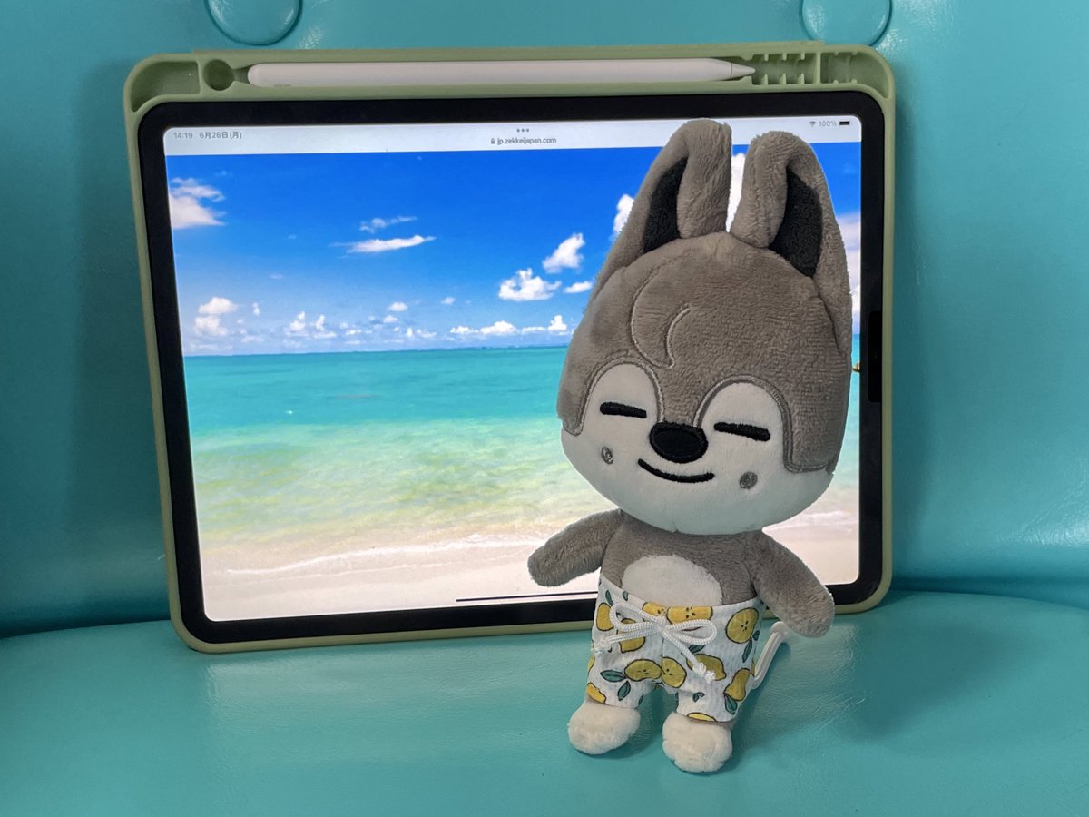 minamina_ji_na's tweet image. 今日は一足先に新作@miihmtt1 をGETしたので撮影してきました♡

夏だーパダだー🌊パンだー🩳

取り急ぎiPadの前で撮影したら、へんな合成みたいになった😂

#ハンドメイド #海パン #ぬいぐるみ用 #ウルフチャン