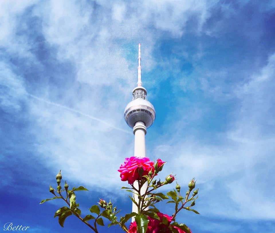 V_B_writes's tweet photo. A new day - a new start.
Have a good day! ☀️ 🫖 🌸
#flowerphotography #NaturePhotography #Berlin #ThatTowerAgain #WritingCommunity https://t.co/aywe2j4wrQ