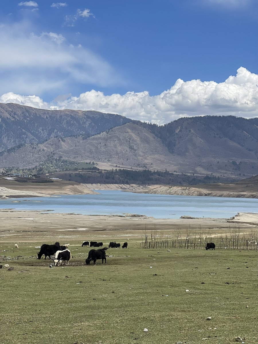 Scenic fragment |||| Goodnight Sunday #ScapeShare#USA