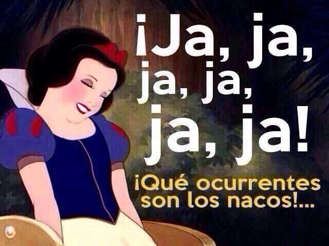 huracan_mx's tweet photo. @laishawilkins @VicenteFoxQue Cuando no le ponen acento a las mayúsculas https://t.co/qPYDlRIL5b