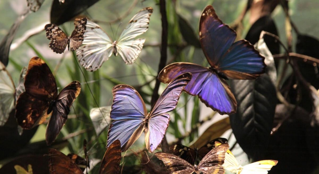 SkylabStudios_'s tweet image. Hai mai visitato il #MUMA di #Assisi? Il Museo Missionario Indios dei frati Cappuccini dell’Umbria in Amazzonia è un museo multimediale e interattivo. Visitalo anche comodamente da casa grazie al suo #Virtual Tour made in #SkylabStudios! vrcity.it/mumavr1/