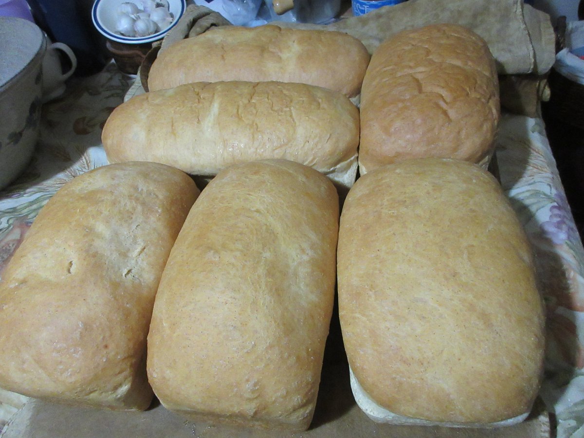 Life has its up and downs Right? Then the weather these days is having its up and downs Right? Well I made some more Egg Bread tonight happy to say. Its up and downs turned out has it should be! Not sure what to think of the rest of these things! Other than it just keeps going!!