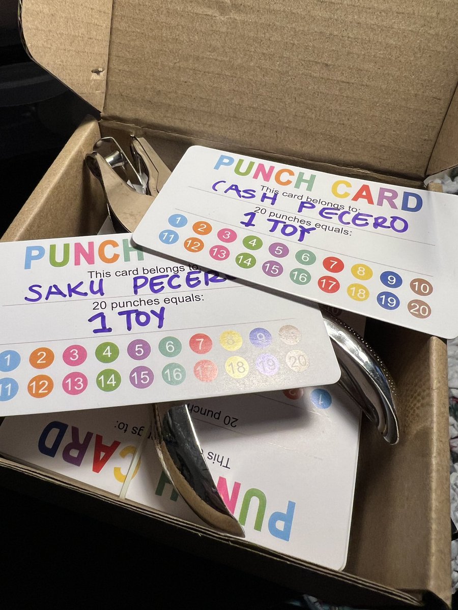 ⭐️🧺🫧Time to get some help getting things done around here. 🧼🧽🪣⭐️
#helpneeded #punchcards #rewardcards #incentive #bigboys #PeceroBoys