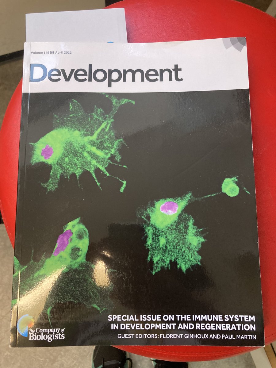 Thank you @Dev_journal and @amjeve for the great gift! It’s always an additional pleasure to see/read our review in print @GeraldineJowett #organoids #lymphocytes