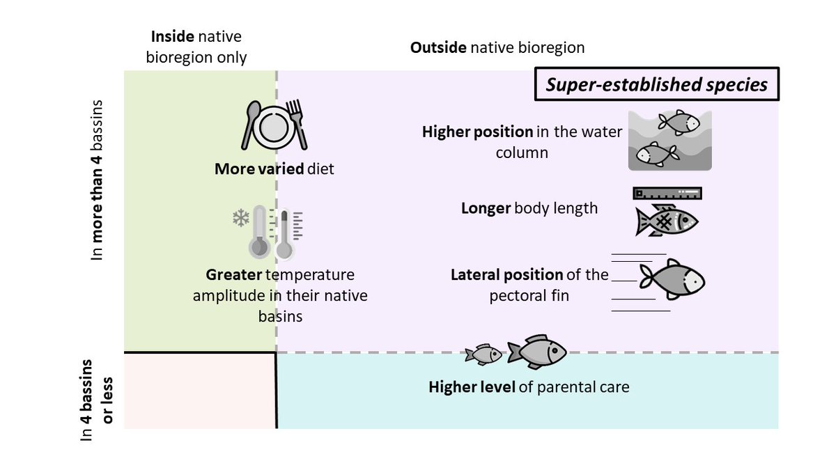 Our new paper is out @Camille_Bernery <a href="/cl_marino/">Clara Marino</a> <a href="/BioM_UPS/">BioM</a>  <a href="/IdeevL/">IDEEV_lab</a>  @INEE_CNRS   🐠🦈🐡🐟 Importance of exotic fish traits in determining invasiveness besjournals.onlinelibrary.wiley.com/doi/10.1111/13…
