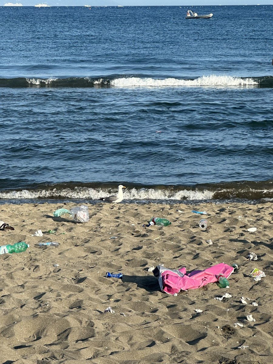 SerenaNogarotto's tweet photo. Era una bella domenica. Non meritiamo questo #mare  mare 🌊 #rabbia #ignoranza #tristezza @plasticfreeit https://t.co/IbRdPe3Ehp