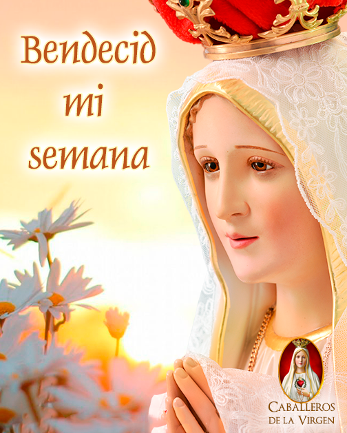 ¡Buenos días!
Que esta semana sea llena de bendiciones para Ud. y su familia.