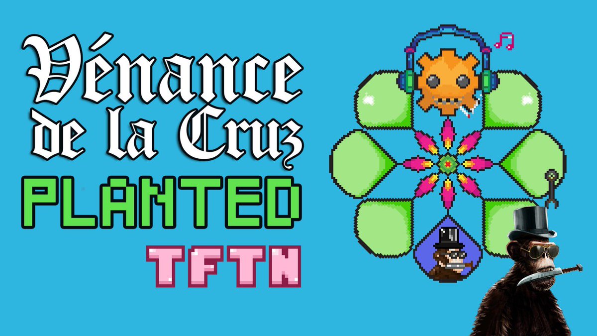 Ten Flowers Ten Nights 🌸🌛 tweet media