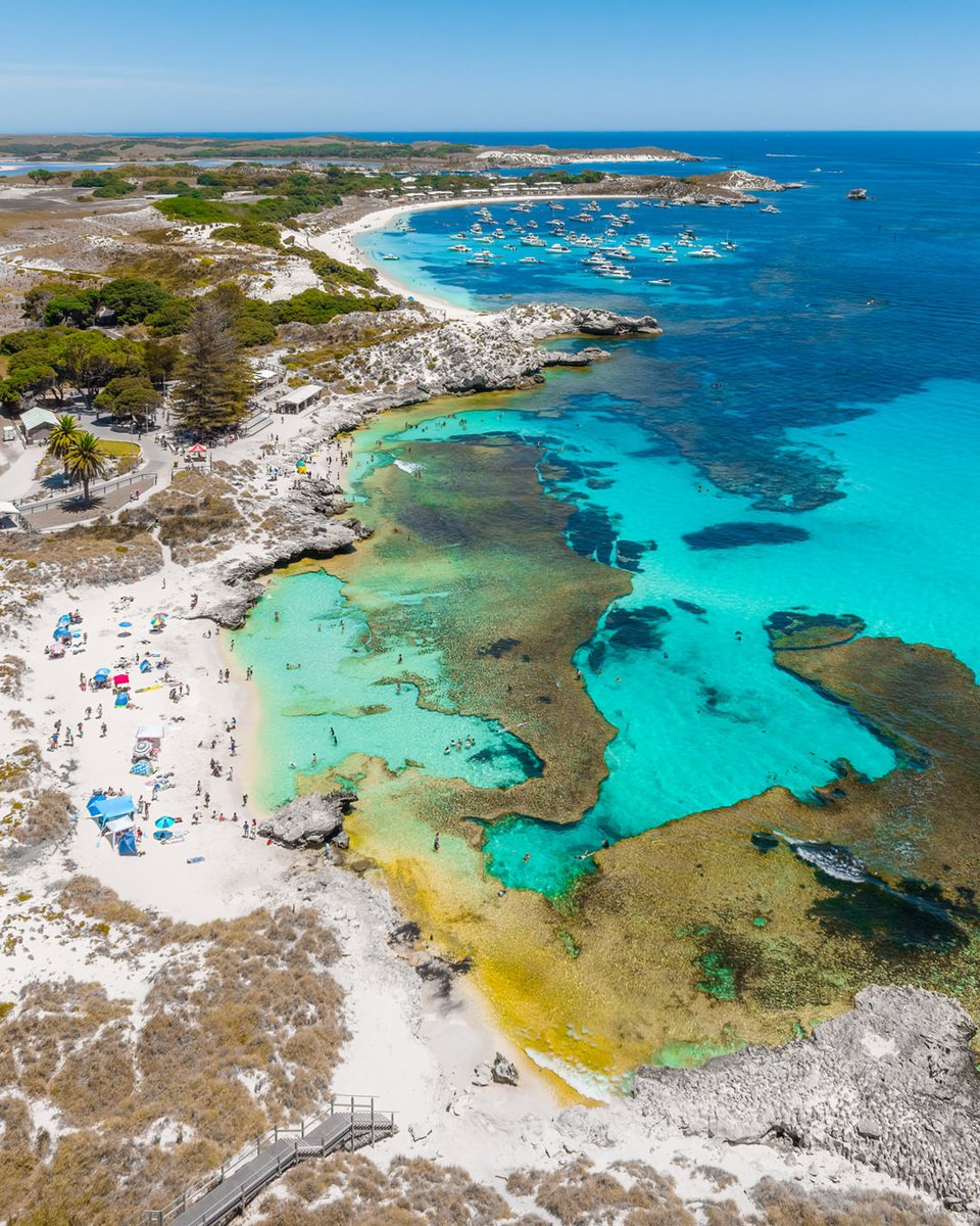 theaguiastudio's tweet photo. Blissful sunny day at Rottnest Island, the slice of paradise in Perth, Western Australia. The perfect spot for a daydream. ππ΄
.
.
#rottnestisland #perth #westernaustralia #wathedreamstate #sunshine #beachday #travel #skyperth #aussieadventures #stockphotos https://t.co/lVIqpS73Ga