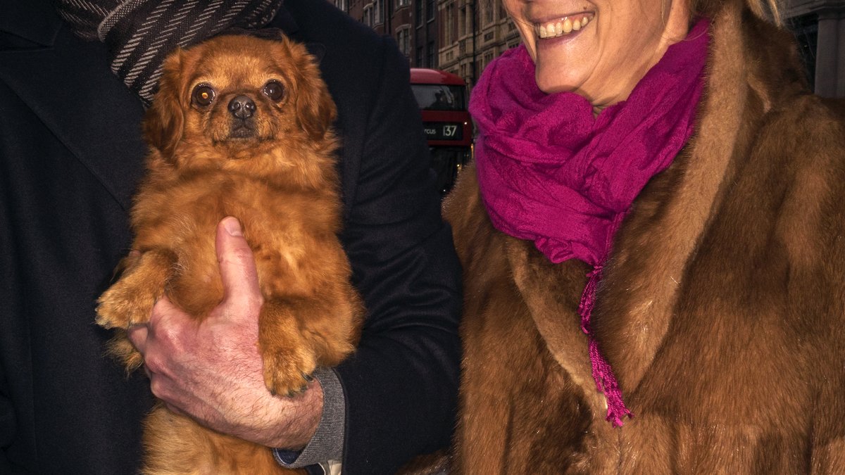 Royal Court tweet media