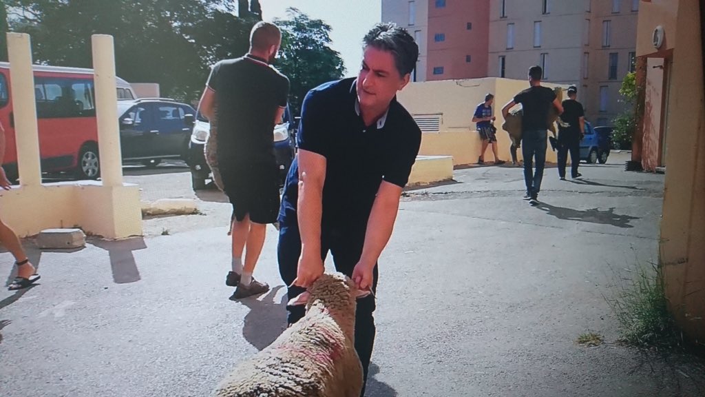 FBB_Officiel's tweet photo. #AidElKebir
Pour certains, c’est jour de fête, pour eux, c’est l’enfer
L’occasion de rappeler l’atrocité que vivent des dizaines de milliers d’animaux promis à cette longue et cruelle agonie qu’est l’abattage sans étourdissement, encore trop souvent pratiqué en France et en particulier en cette funeste période…
👉 Comme chaque année, la FBB sera mobilisée pour intervenir sur les sites d’abattage clandestin et recueillir les animaux épargnés d’une fête qui n’en a que le nom.