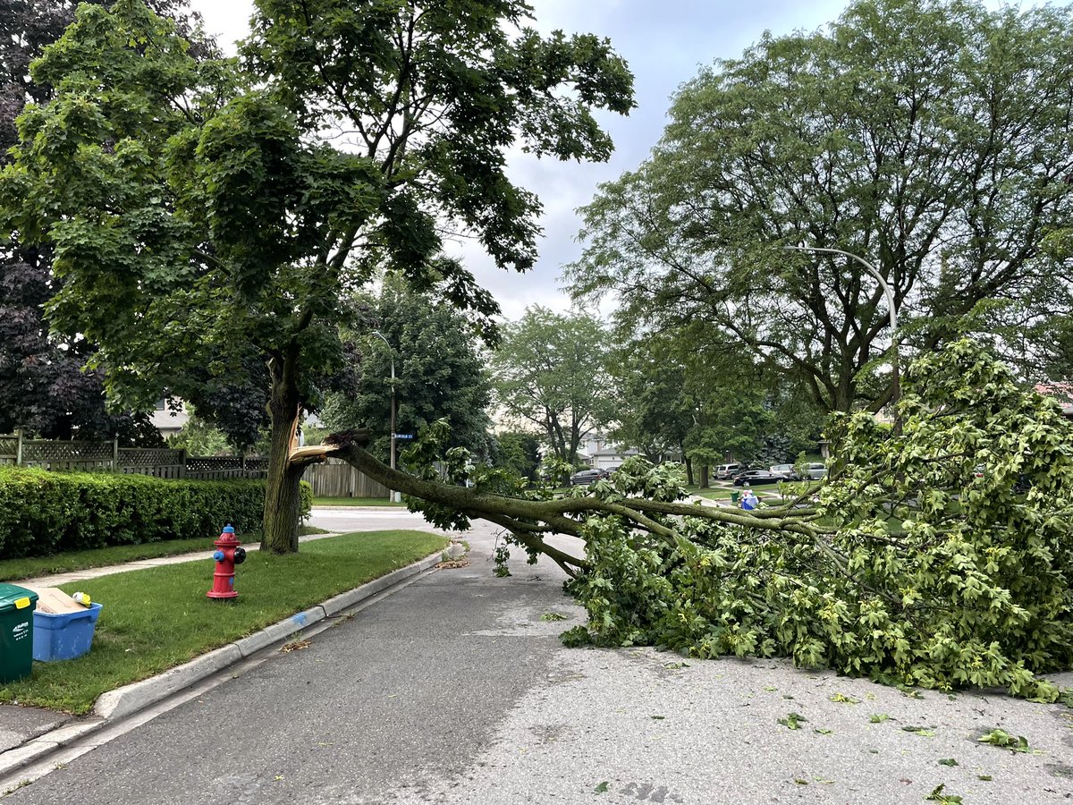 MsTaitsClass's tweet image. Wow… quite a storm. Sadly, another tree in our neighbour hood is down. Across the whole road (Cartier Crescent) &amp;amp; blocking my driveway. @cityburlington Will call 311.